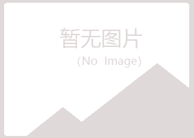 长春二道紫山能源有限公司